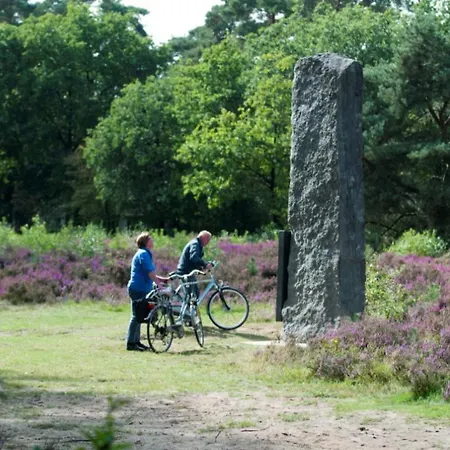 Stacaravan 4 Personen Op De Veluwe