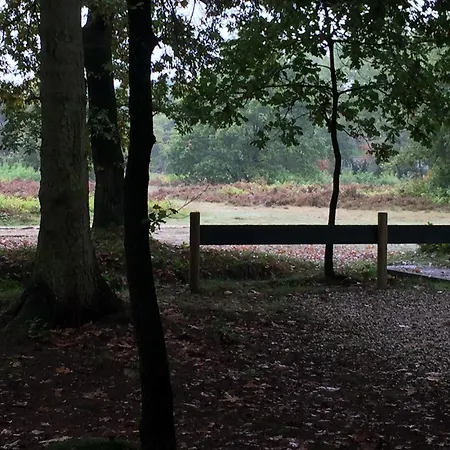 Stacaravan 4 Personen Op De Veluwe * אוטרלו